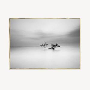 Cuadro cristal con marco 120*80 cm