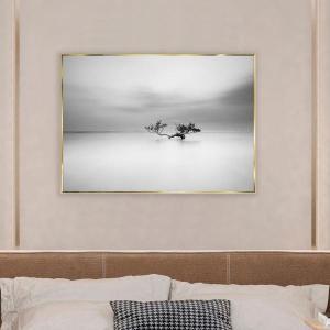 Cuadro cristal con marco 120*80 cm