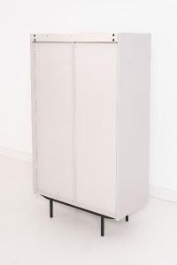 Vitrina Pol lacado gris y chapa roble (KIT)
