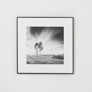 Set of 2 pictures with wooden frame 50*70 cm/unit.