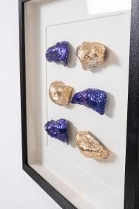 Cuadro vitrina con marco madera 50*50 cm