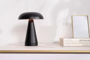 USB Rechargeable Portable Lamp (4 Light Positions)