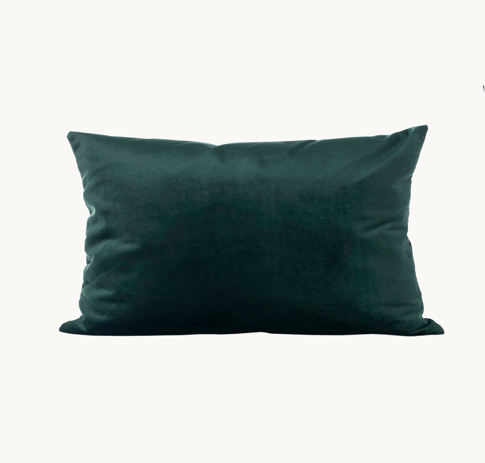 CUSCINO IN VELLUTO VERDE SCURO 30X50 CM