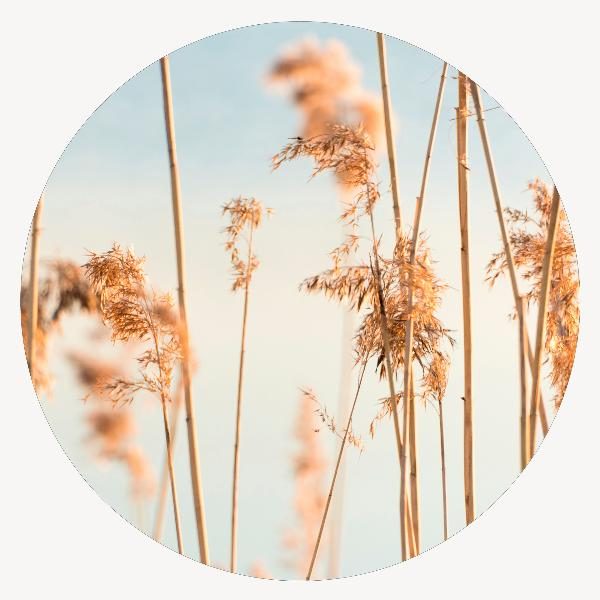 CUADRO REDONDO METRACRILATO 78 CM DIAMETRO