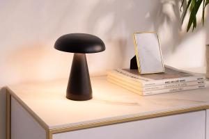 USB Rechargeable Portable Lamp (4 Light Positions)