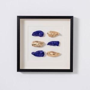 Cuadro vitrina con marco madera 50*50 cm