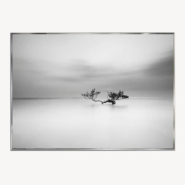 CUADRO FOTO CRISTAL CON MARCO PLATA 120*80 CM.