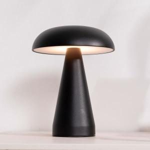USB Rechargeable Portable Lamp (4 Light Positions)